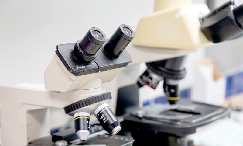 In-House Lab and Diagnostics