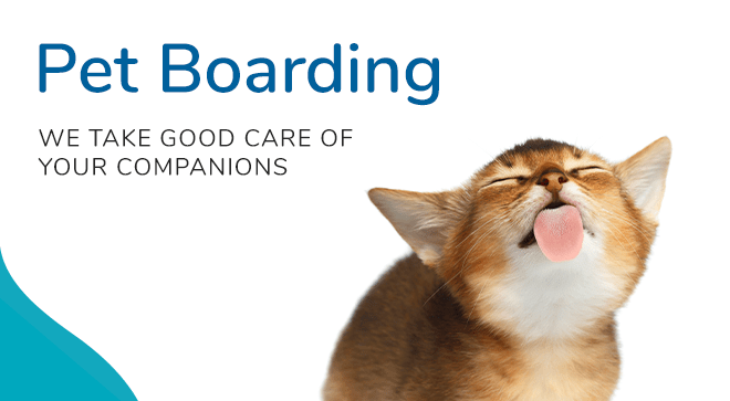 Boarding and Daycare for Pets